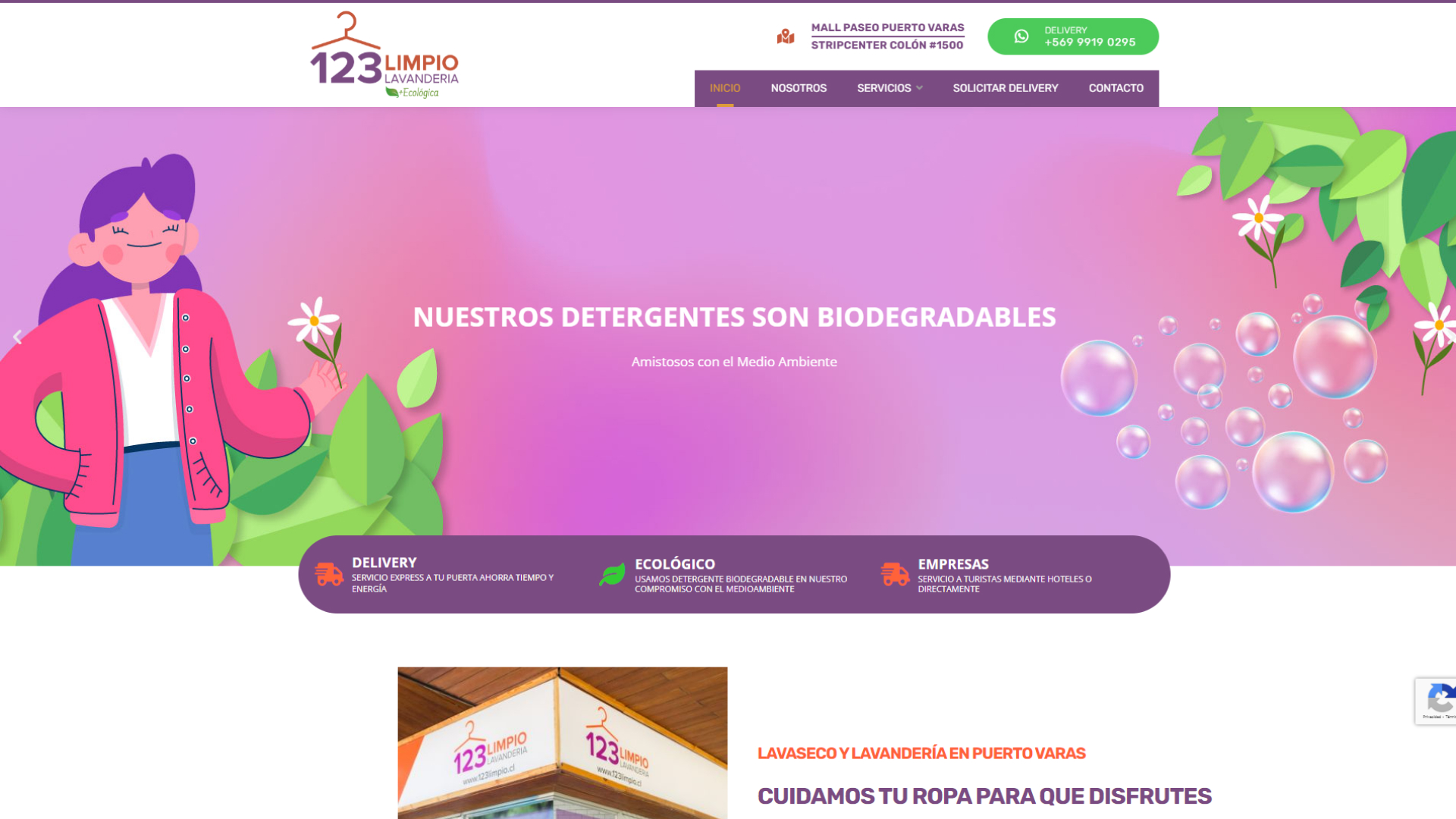 Dise o Web 123 Limpio Avanza Agencia De Marketing Y Agencia De 